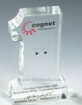 #1 Lucite Stock Shape Embedment/ Award