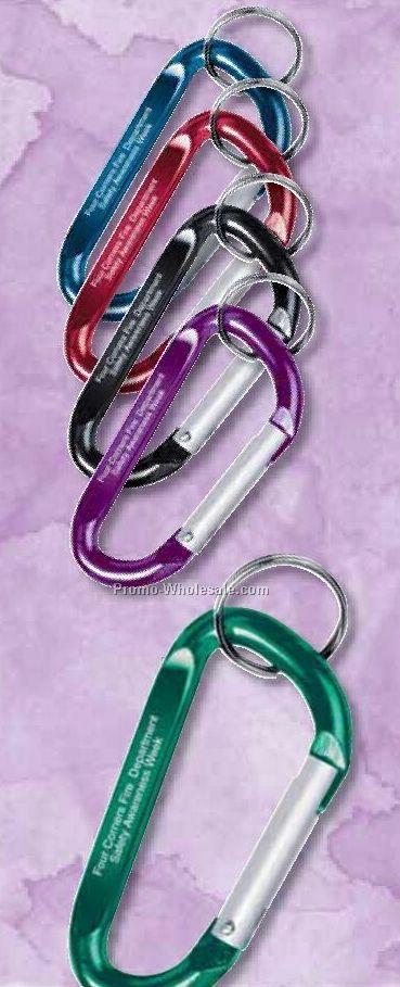 Carabiner Key Chain