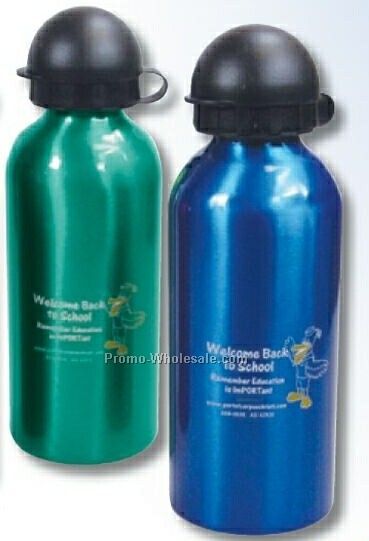 20 Oz. Aluminum Insulated Drinking Bottle