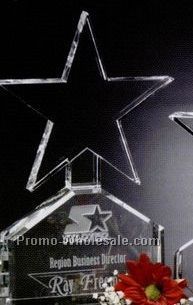 Celestial Star Award 8-1/2"