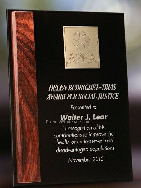 Plexiglass Award Plaque W/ Etched Plate & Dymondwood Accent - 9"x12"