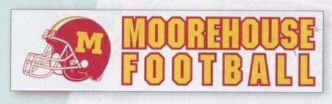 3"x11-1/2" Rectangle Bumper Sticker Magnet (4 Color Process)