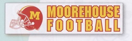 3"x11-1/2" Rectangle Bumper Sticker Magnet (1 Color)