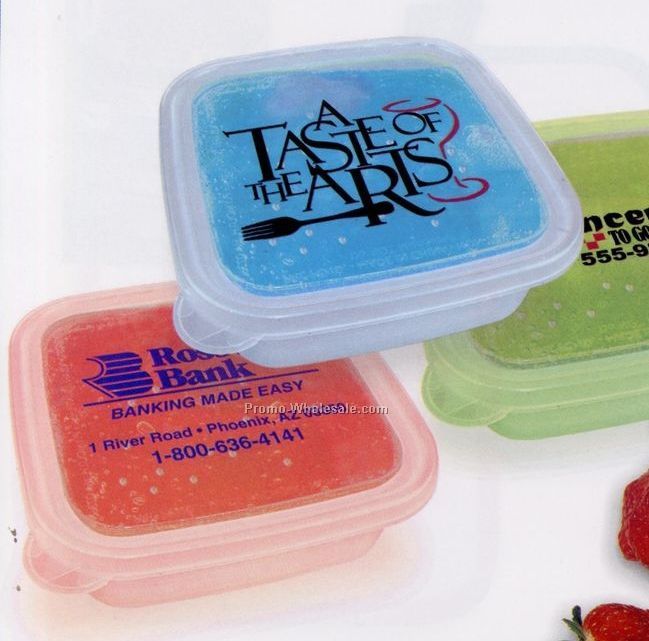 Ez Freeze Food Storage Container