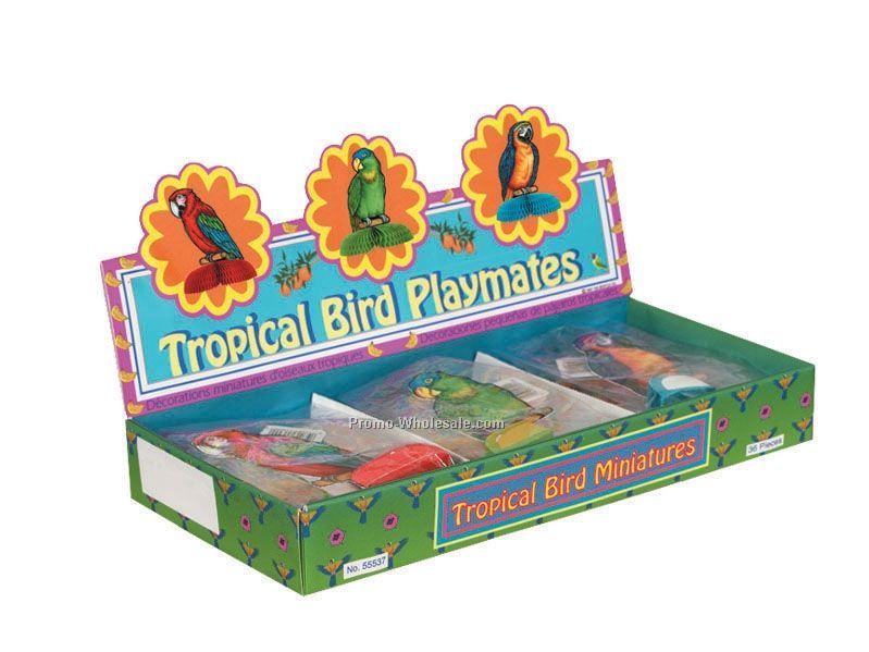 4-1/2"-5" Tropical Bird Mini Assortment Counter Display