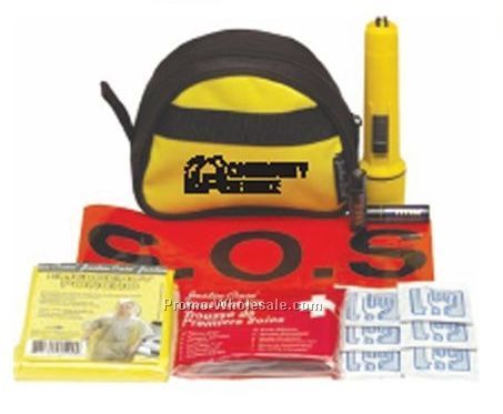 Mini Bee Safe Automotive Safety Kit