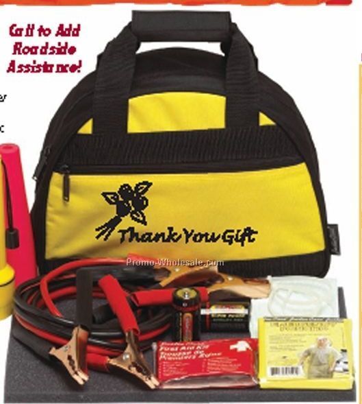 Bee Safe Automotive Safety Kit