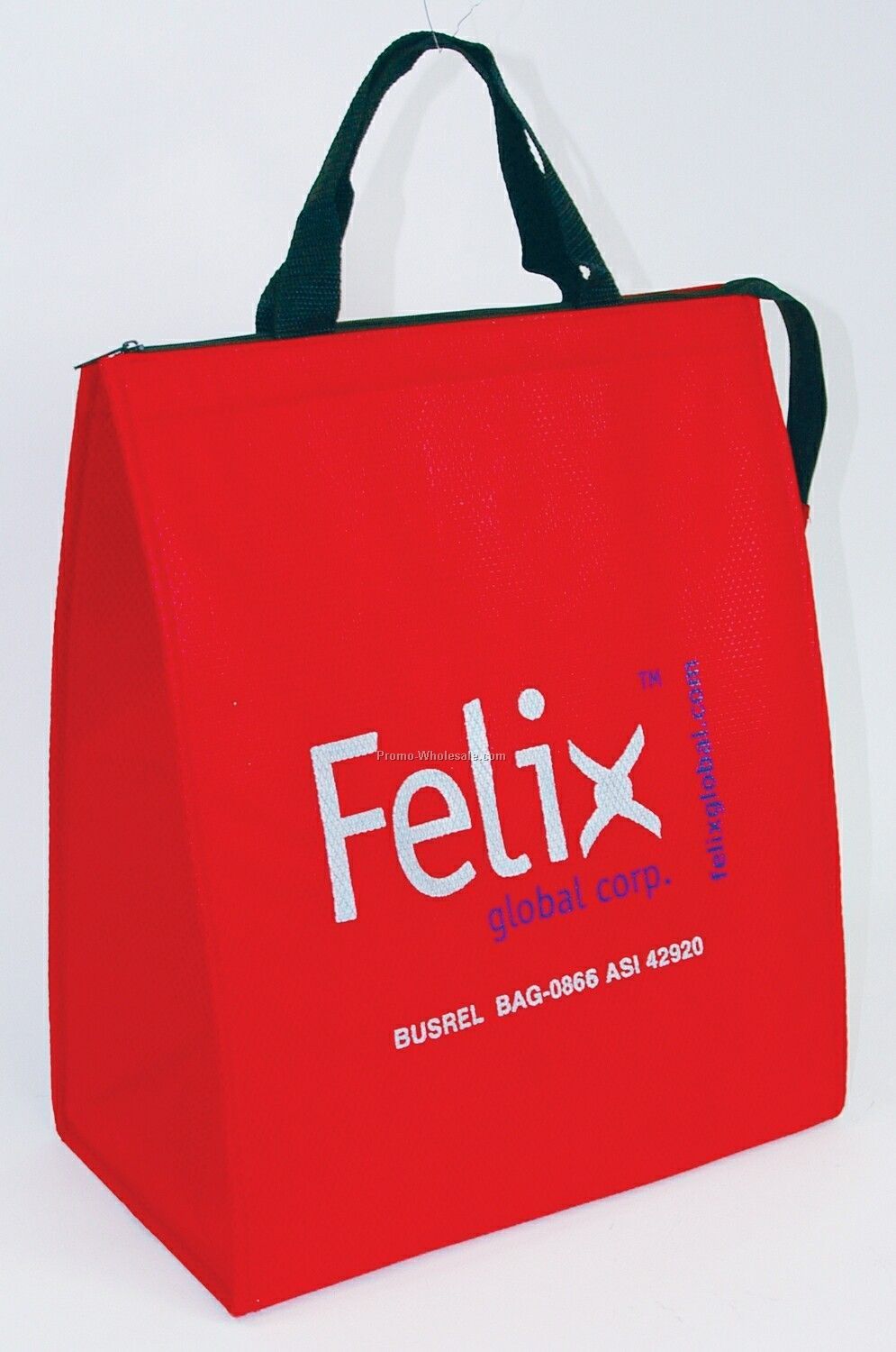 Cooler/ Shopping Bag