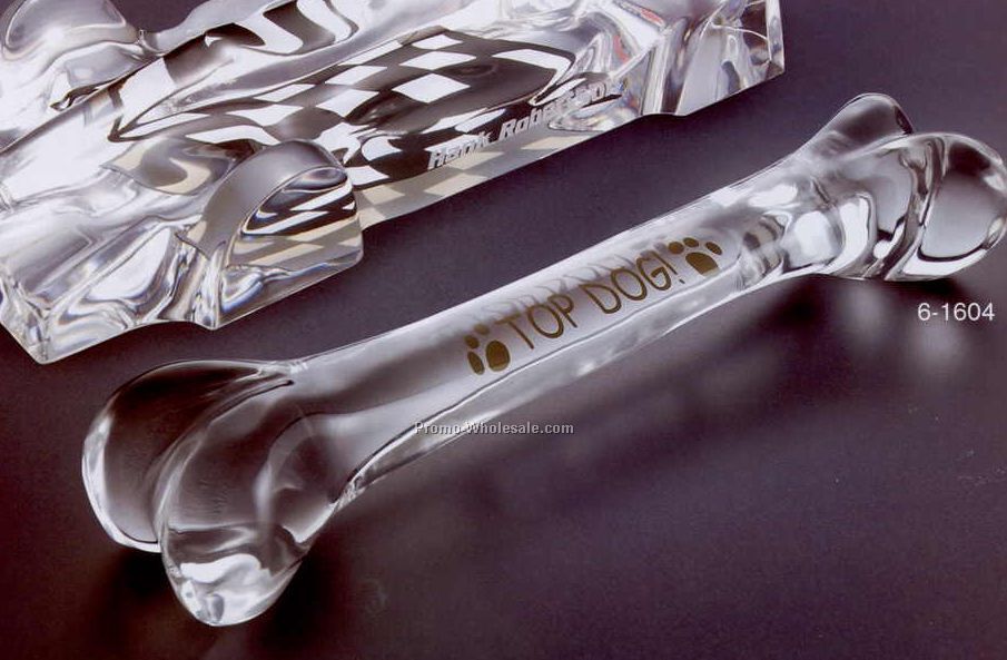 9-3/4"x2"x1-3/4" Acrylic 3-d Bone Replica Award