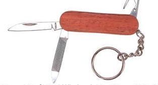 Multi-purpose Knife W/ Key Chain